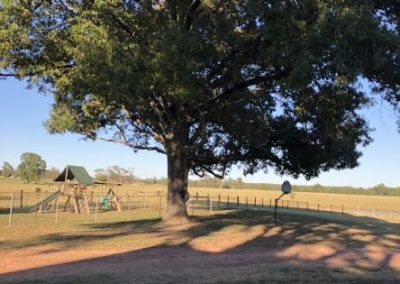 Outstanding Tree Service