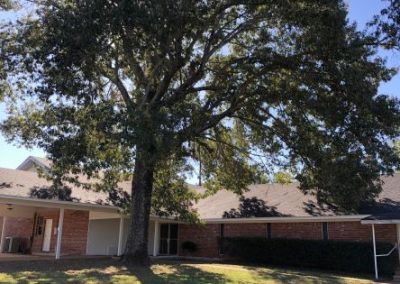 Preferred Tree Service