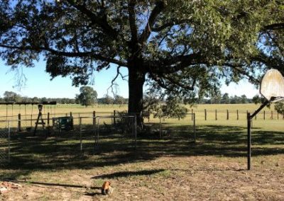 Reliable Tree Service