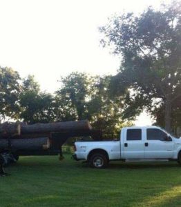 Tree Trimming in Jacksonville,TX,75766
